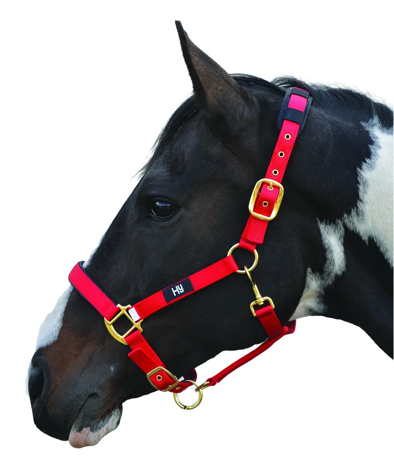 Hy Equestrian Deluxe Padded Head Collar - Red